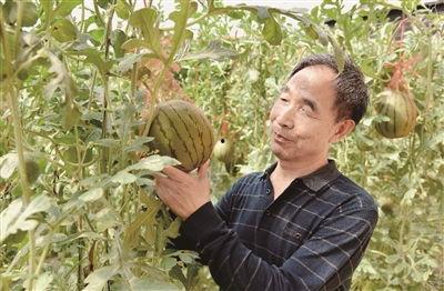 洛阳吃瓜最新视频,揭秘最新视频背后的热点事件