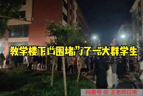 四川传媒吃瓜事件视频播放,视频播放背后的热议与反思