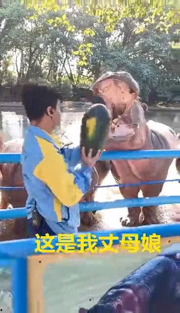 吃瓜最新丈母娘视频播放,揭秘家庭温馨瞬间