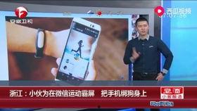 吃瓜被打嘴流血视频,一场网络暴力引发的悲剧