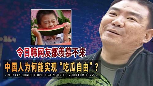 我国吃瓜网友是谁啊视频,视频揭示背后的故事