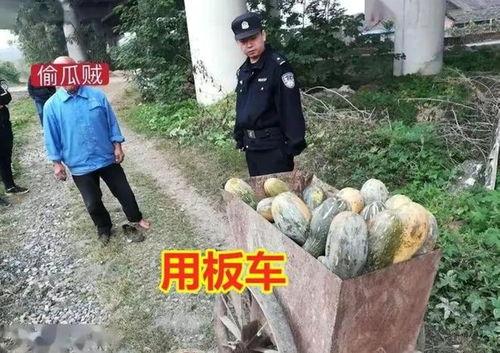 韩城三星村吃瓜事件视频