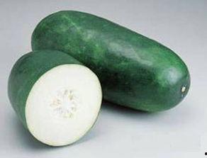 吃蒲瓜会不会长胖呀视频,吃蒲瓜真的不会长胖吗？