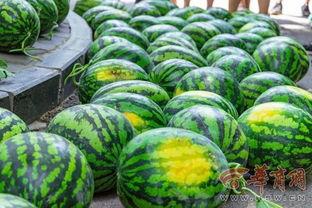 燕山大学吃瓜视频照片,揭秘校园生活趣味瞬间