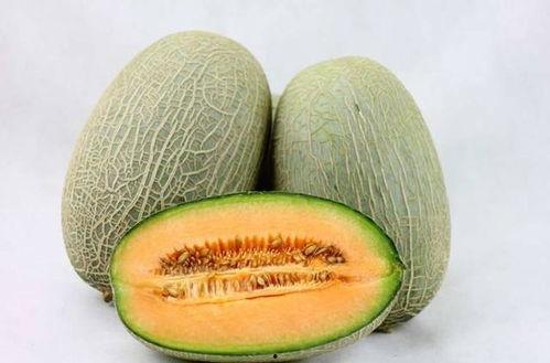 潮汕人吃哈密瓜视频大全,哈密瓜美食视频大盘点